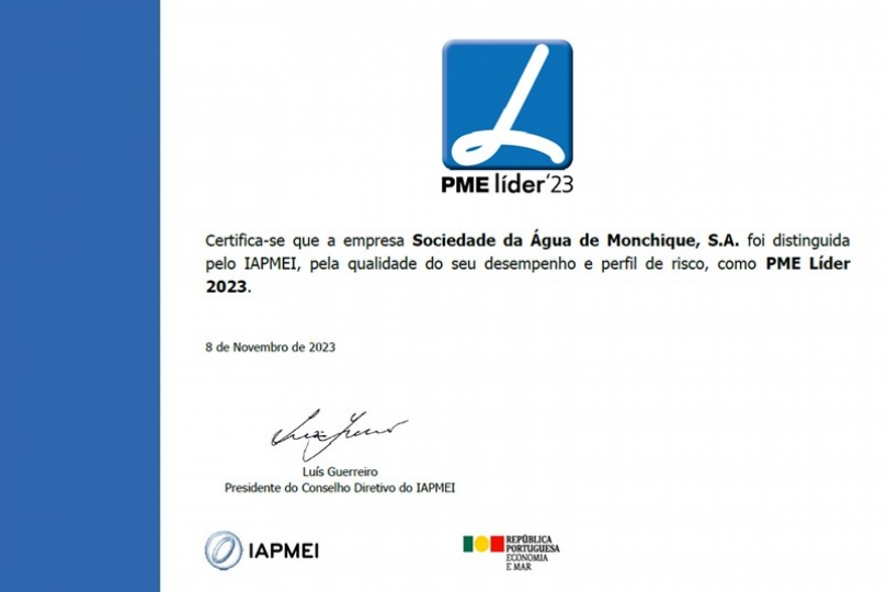Certificado PME Lder 23