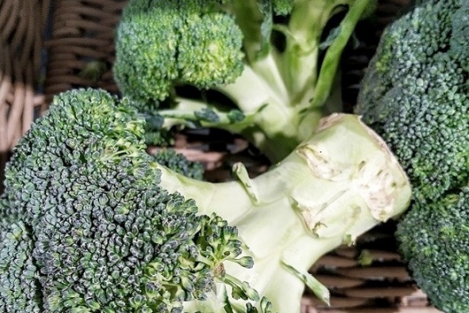 Benefícios do brócolo